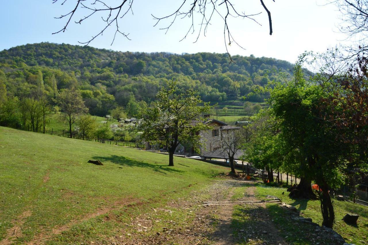 ConcesioCascina Valsorda住宿加早餐旅馆 外观 照片