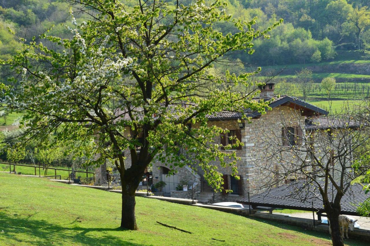 ConcesioCascina Valsorda住宿加早餐旅馆 外观 照片