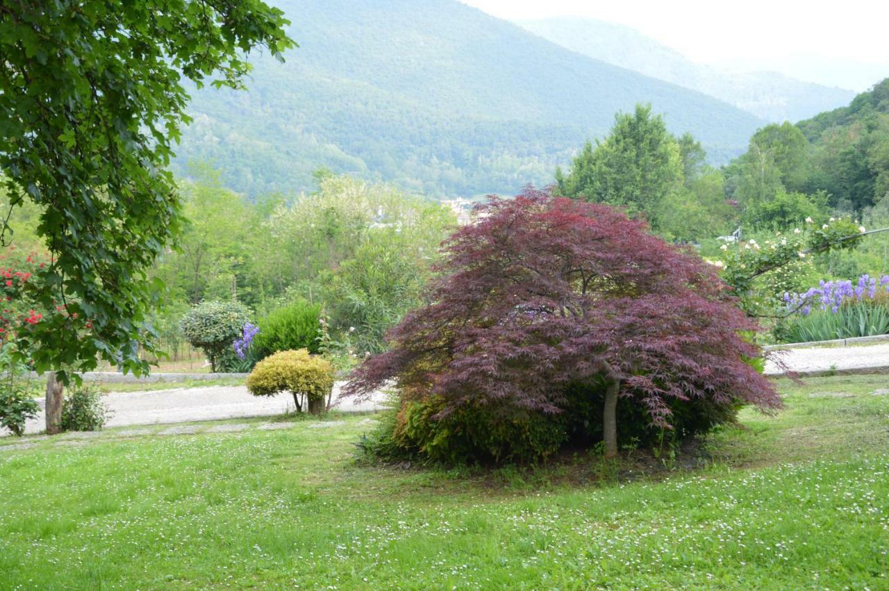 ConcesioCascina Valsorda住宿加早餐旅馆 外观 照片