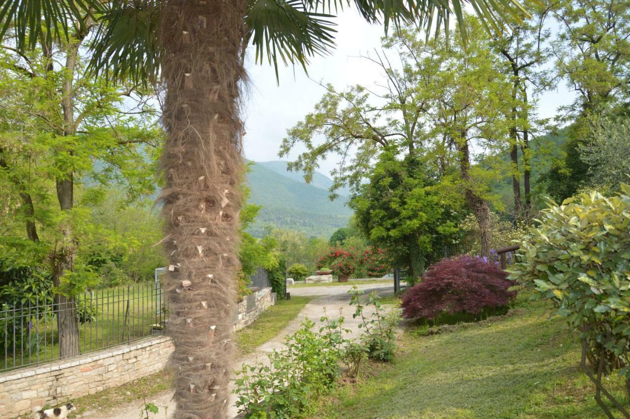ConcesioCascina Valsorda住宿加早餐旅馆 外观 照片